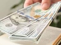 Exploring Different Investment Vehicles Stocks, Bonds, and More
